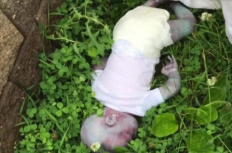 Martín Estala, el cruel asesino de la bebé Mia