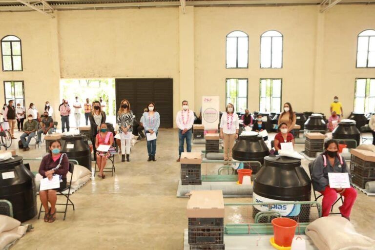 Las granjas avícolas mejoran la alimentación y ofrecen un ingreso a familias potosinas: DIF Estatal