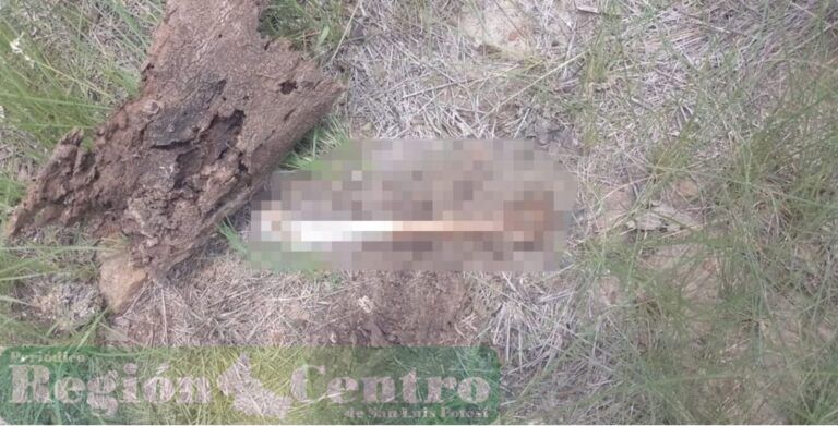 Restos humanos son hallados en un monte de Zaragoza