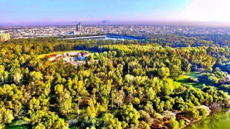 Apuesta gobernador a parques estatales como centros de sana convivencia y recreación