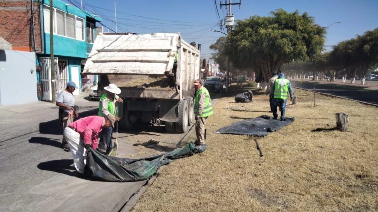Con paso firme avanza programa Embelleciendo tu Colonia
