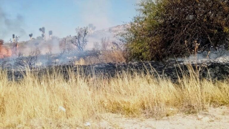Incendio en pastizales, no hubo desgracias que lamentar