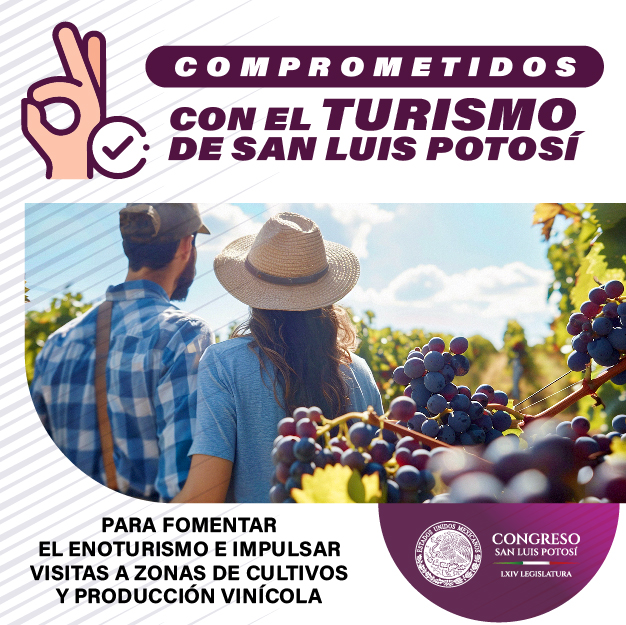 Gobierno Estatal SLP