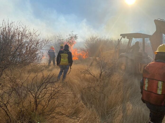 WhatsApp Image 2022-02-01 at 10.22.29 PM (1)