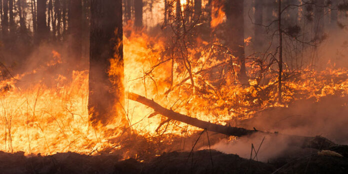 wildfires-and-groundwater