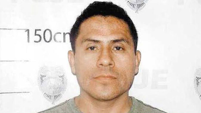 la bestia de tamuín