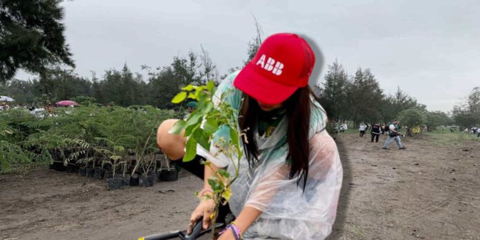 El Gobierno en coordinación con la empresa mundial ABB y Scouts de México plantaron más de dos mil árboles.