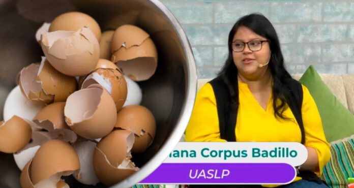 La egresada de la licenciatura en ingeniería química de la máxima casa de estudios potosina detalló que su proyecto consiste en la extracción del ácido hialurónico de la cáscara de huevo.