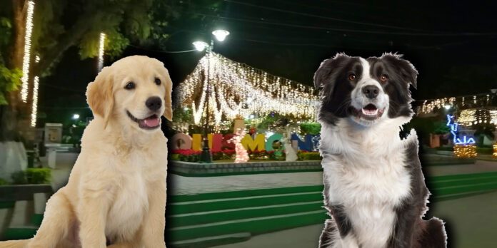 En el Pueblo Mágico de Aquismón, en la Huasteca Potosina, existen sitios considerados como pet friendly, es decir permiten entrar a mascotas.