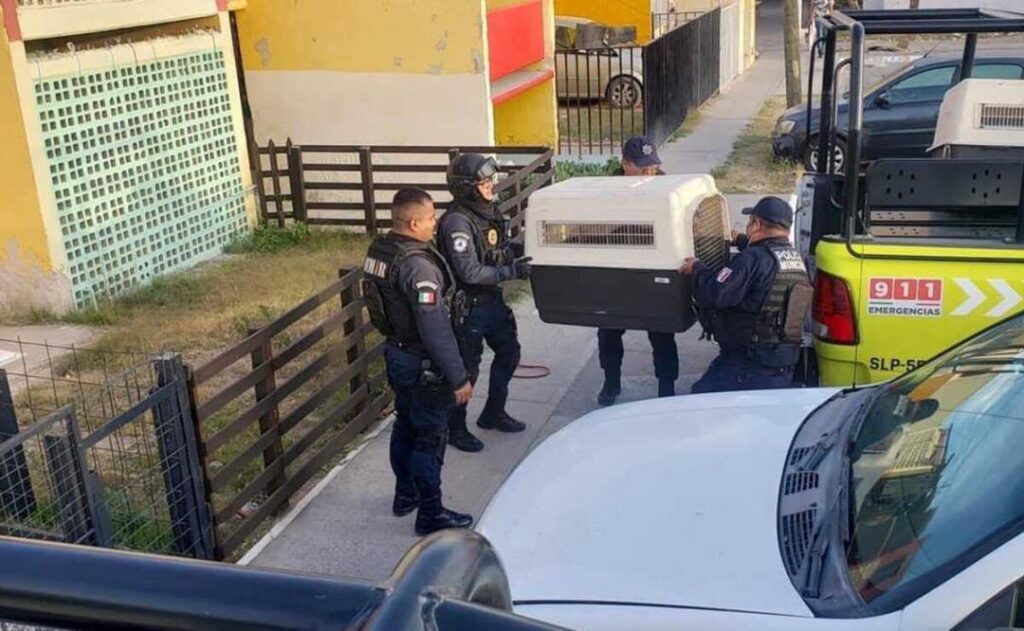 Piden rescate de casos similares en otras colonias.