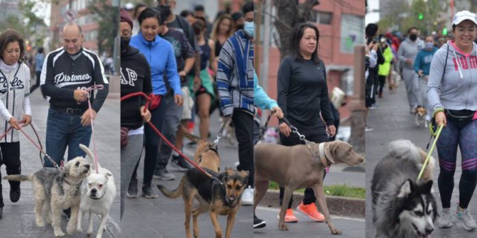Las fotos pertenecen a la Carrera Perrona 2022, llevada acabo el 11 de Septiembre de ese año.