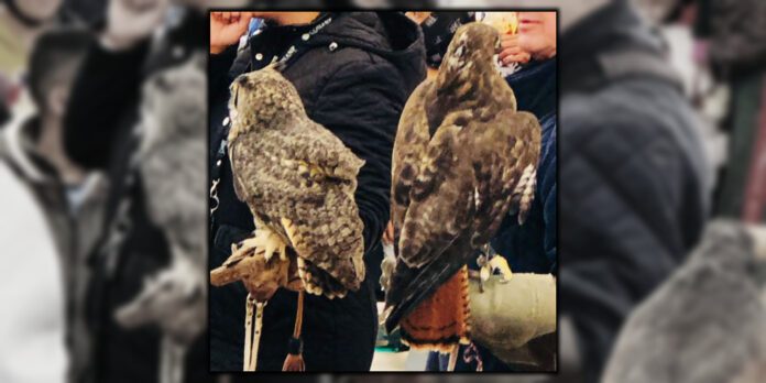 Se busca es que las nuevas generaciones adopten la cultura del cuidado del ecosistema y especialmente del águila real.