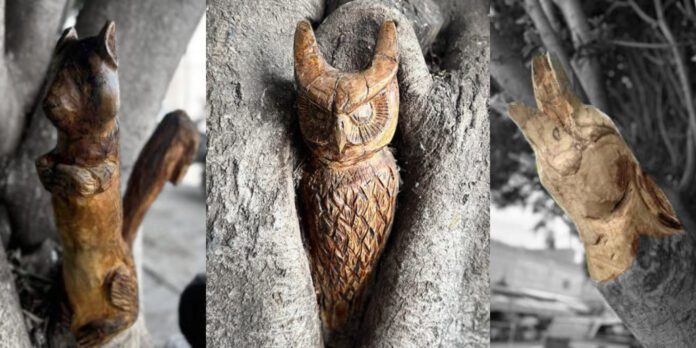 Árboles podados se convierten esculturas de animales.