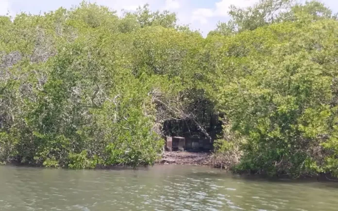 Encuentran-restos-17-cuerpos-fosa-clandestina-Veracruz-21062023