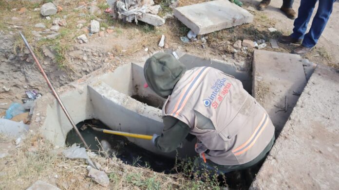 Grandes deudores recurren a los amparos para no pagar