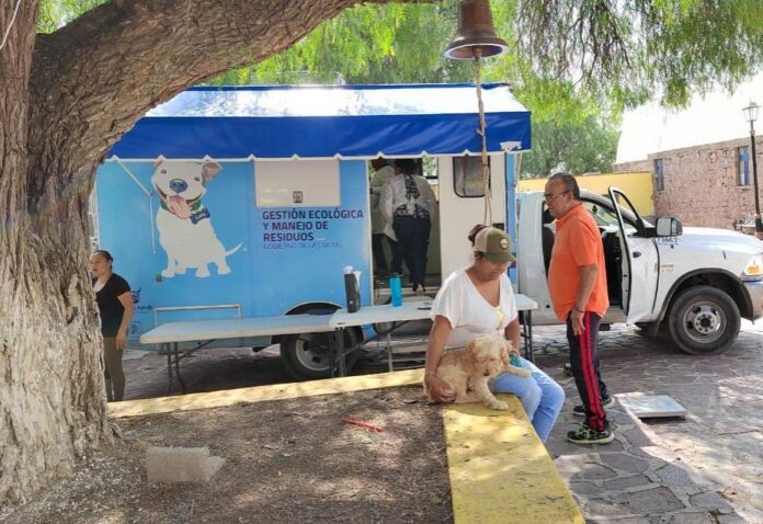 El Gobierno de la Capital realiza la jornada de esterilización en la Delegación de La Pila, en colaboración con la Dirección de Gestión Ecológica y Manejo de Residuos. En esta ocasión, se logró esterilizar a 40 perritos en las comunidades de Jaralito y Arroyos. 