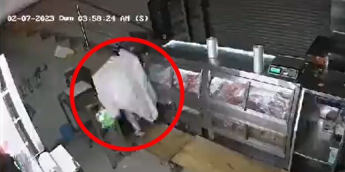 Roba una carnicería vestido de fantasma en Guanajuato.