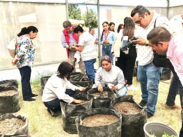 DIF Municipal instala huerto “Cosechando para tu mesa”, en Villa de Pozos