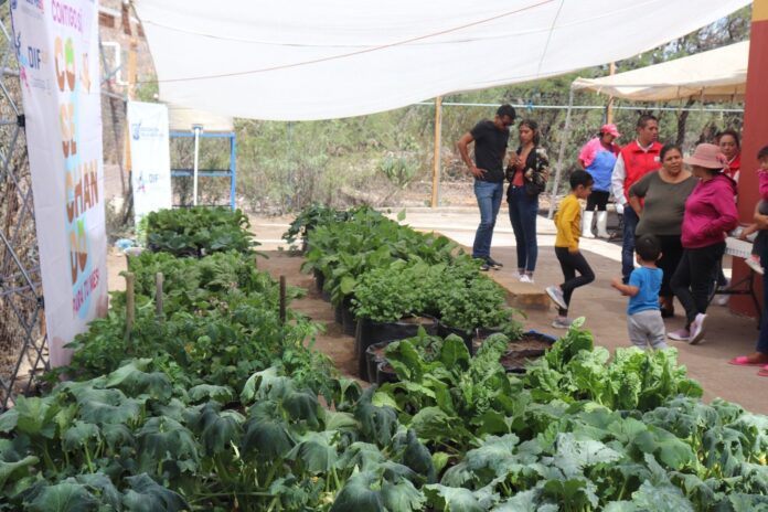 DIF Municipal fomenta la sana alimentación y nutrición en las familias en situación vulnerable