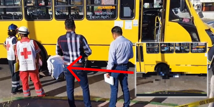 La joven fue atropellada por la ruta 24. El conductor ya fue detenido.