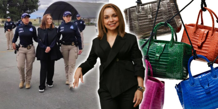Nancy supuestamente introdujo de manera ilegal bolsos, carteras y billeteras fabricadas con piel de animales exóticos y especies silvestres protegidas.