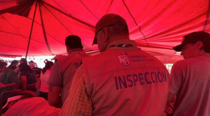 visitas-tianguis