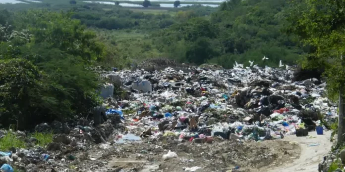 CONTAMINACIÓN EN ÉBANO