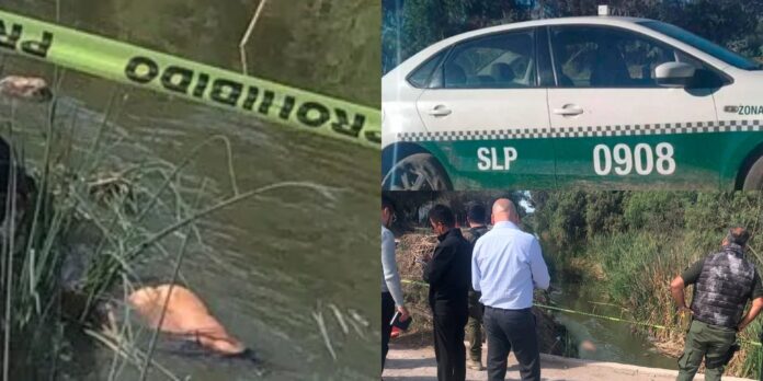 El hallazgo de un hombre sin vida se dio en Camino Viejo a Cerro de San Pedro en el Kilómetro 08 en Colonia Planta del Carmen.
