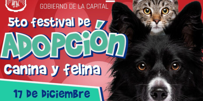 Inscríbete antes del 10 de diciembre.