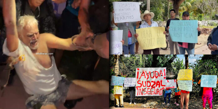 Los vecinos del lugar piden justicia por los perritos envenenados.