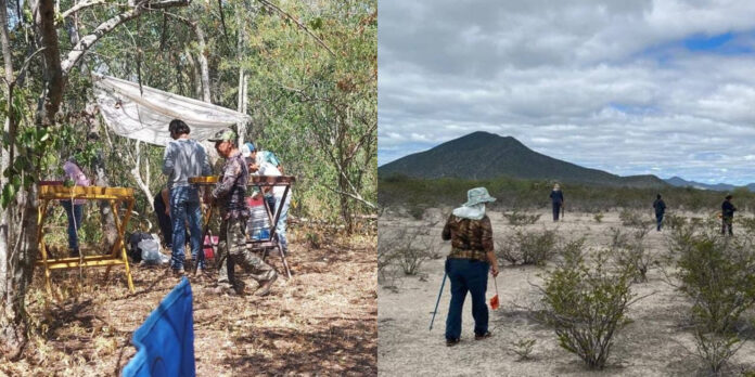Se han intensificado los hallazgos de cuerpos calcinados en una finca Vallense.