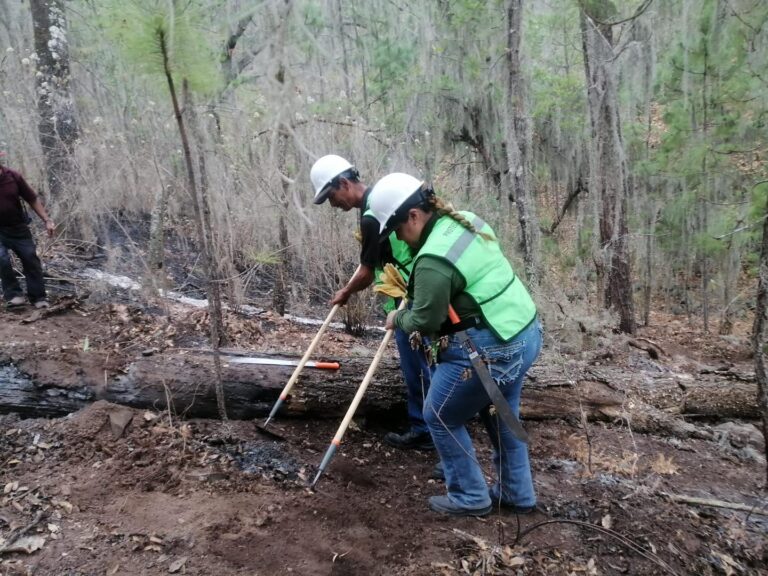 Protección Civil, SEDENA y Conafor combatieron incendio forestal