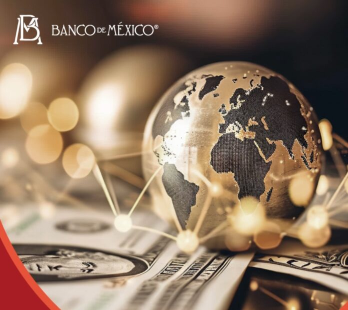 WhatsApp Image 2026-02-06 at 2.55.41 PM