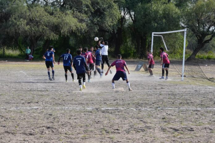 WhatsApp Image 2026-03-31 at 11.55.15 AM