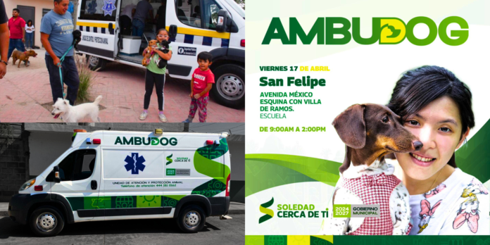 ¡Ambudog llega hoy a San Felipe!