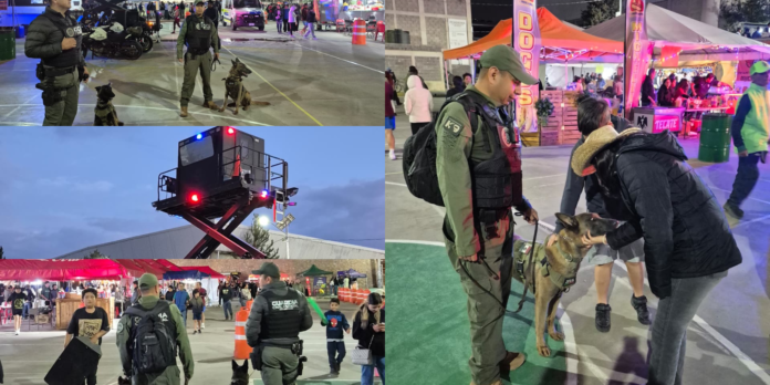 Seguridad en la Copa Potosí 2026