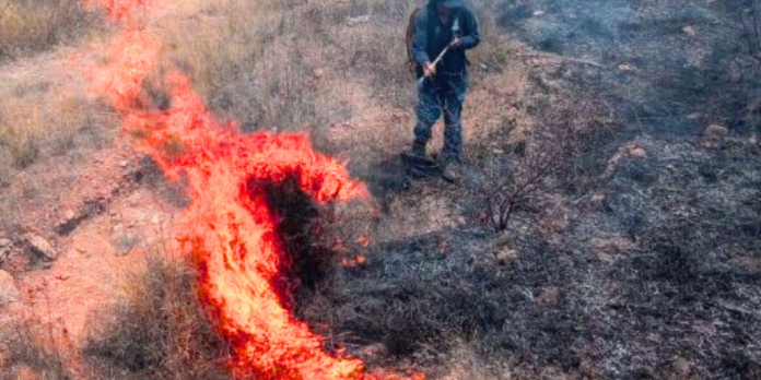 Protección civil y bomberos sofocaron incendios en las comunidades 