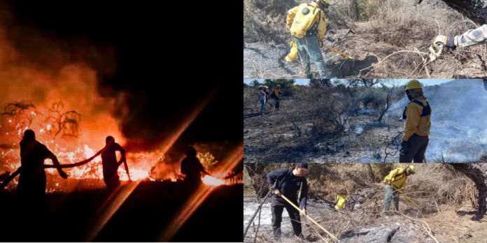 Incendio consume alrededor de 80 hectáreas