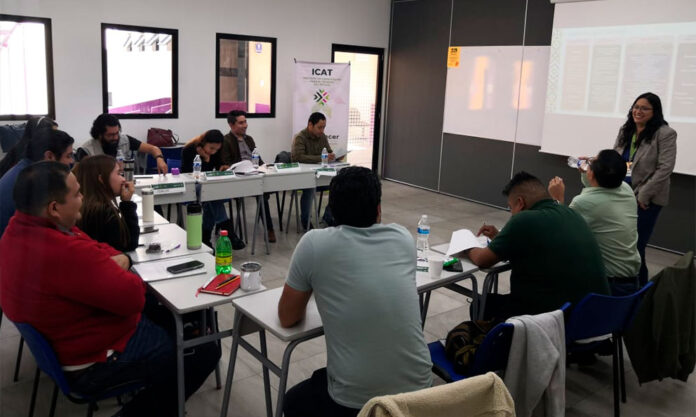 Educación Vial en Ciudad Valles